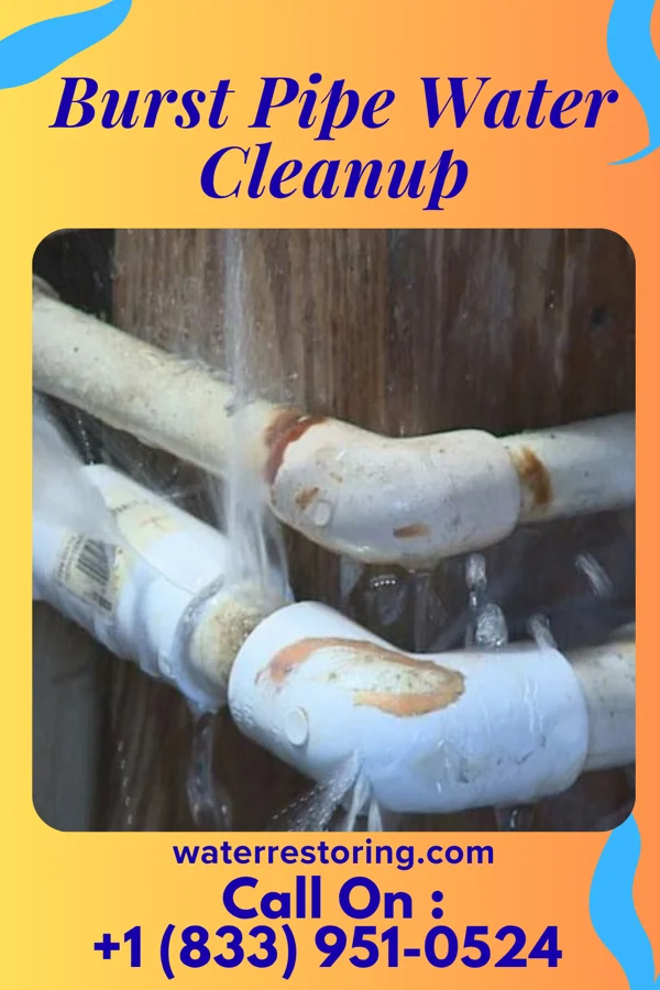 Burst Pipe Water Cleanup in Nauvoo, IL